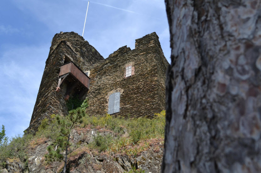 Ruine Burg Rheinberg, Lorch, Hesse, Germany, Germany
